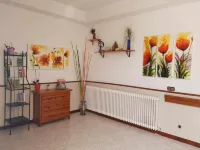 阿爾伯格當瑟爾城市旅館 瓜達拉哈拉省住宿飯店