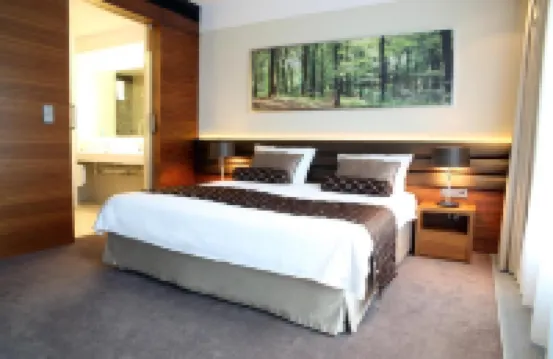 Hotel Narvil Conference & Spa Hotels in Legionowo County