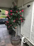 Clayhanger Guest House - С парковкой