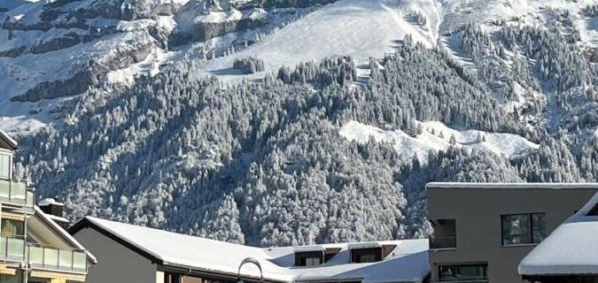 Grand Your Home with Common Kitchens with Self Check-IN Ξενοδοχεία στην πόλη Engelberg
