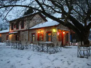 アルピン アリア