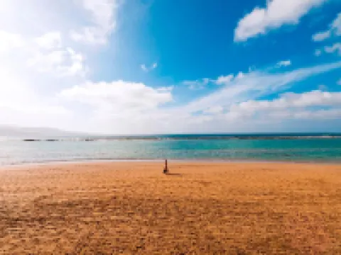 維洛爾酒店 拉斯帕爾馬斯省酒店