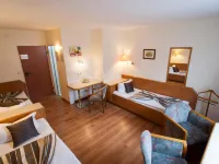 Hotel Excelsior Hotels near Druselturm