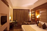 The Bristol