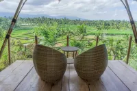 Aranka Tempasan Hotels in Sikur