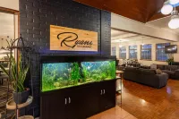 에이스 어코머데이션 올버니