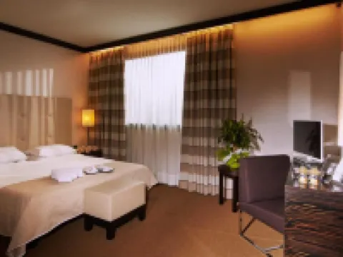 Hotel Pisa Valdera Hotels in Pontedera