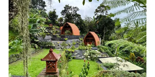 Pondok Bali Eco Living Guesthouse - pemandangan pegunungan