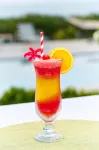 Mount Nevis Hotel - bar