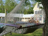 Eagle Wing Inn - Cape Cod Hotels in Eastham