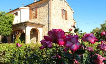 Casa Vacanze Ribocchi