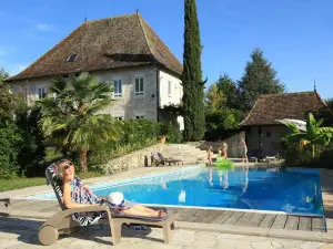 도멘 뒤 마누아