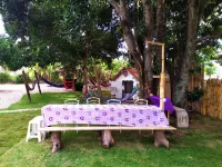 Hostel Portal Das Fadas Hotels in Cavalcante