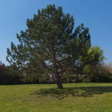 Kyriad Chantilly Sud - Luzarches