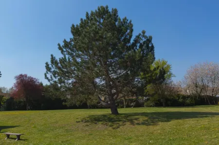 Kyriad Chantilly Sud - Luzarches