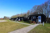 プレクサス ヒダネ