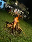 Surf N Spice - Hiriketiya Hotels in Dikwella