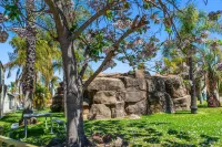 Quality Resort Siesta Hotels in Lavington