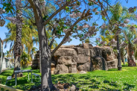 Quality Resort Siesta