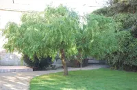 Logis Hotel l'Europe Hotel a Caurel