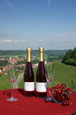 Kirschberghof Gästehaus Und Weinverkauf Отели в г. Гаукёнигсхофен