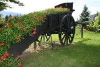 라 크루아 드 사부아 & 스파 Grand Massif Domaines Skiables 주변 호텔