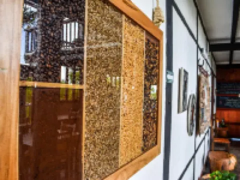 Coffee Tree Boutique Hostel Hotels in Salento