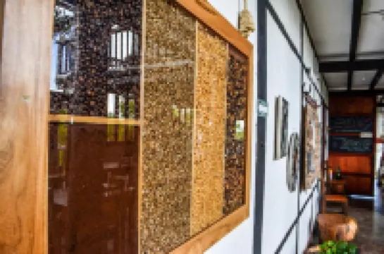 Coffee Tree Boutique Hostel