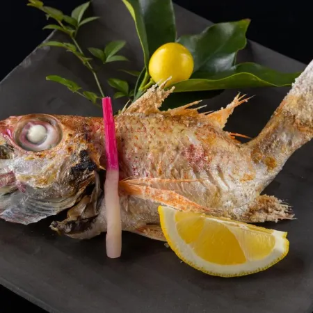 Iki Stellacote Taiankaku