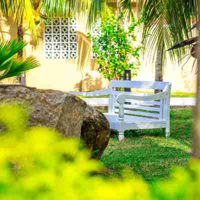 Oasis Hotel Restaurant & Spa Hotel Exterior