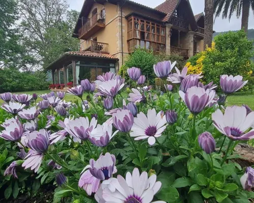 Posada Los Lienzos Hotels in Pas - Miera
