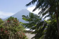 Casa Quetzalli Centro Histórico Antigua - Homestays