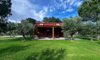IL Poggio
