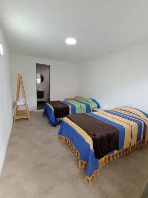 Iguana Coliving