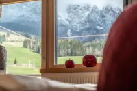Hotel Salzburger Hof Leogang - Mountain View