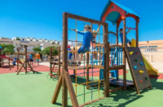 Comitas Isla del Aire