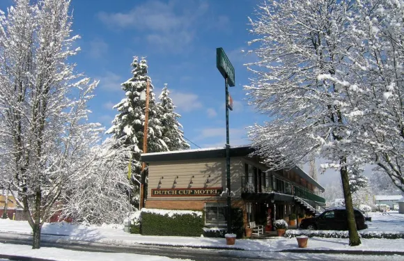 蘇丹荷蘭杯子汽車旅館