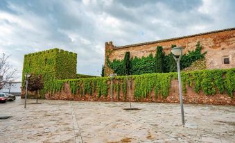 Castillo de Pilas Bonas