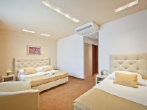 ホテル セントラル ザグレブのホテル