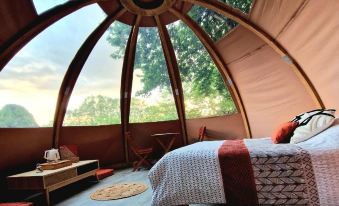 Les Nuits de Cassiopee
