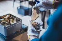 Sado Island Ocean View Kominka – Private Villa Annex, Sea Side Tsubaki Hotels in Sado