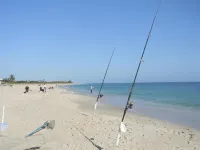 Seaspray Surf Lodge - Beach