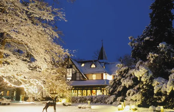 沃德弗利登小屋羅曼蒂克酒店