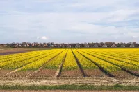 Dormio Villapark Duynzicht