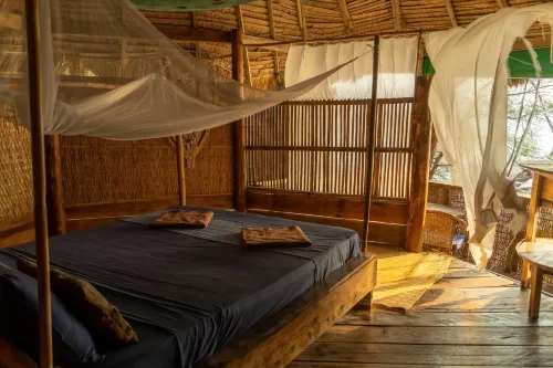 Kactus-Your Island Sanctuary on Koh Ta Kiev