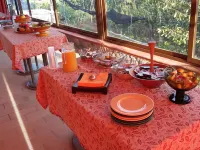 Villa Mola Hotel a Corbara