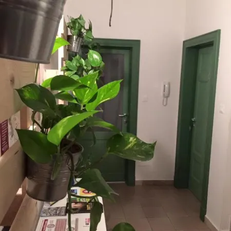 Low Cost Ferrara
