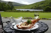 Delphi Lodge Hotels in Renvyle