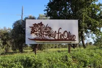 FicOlivo
