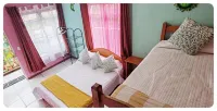 Hotel & Hostel Sloth Backpackers